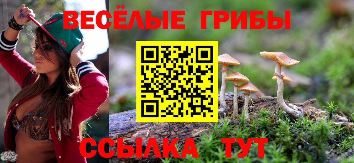 Псилоцибиновые грибы мухоморы  Вход с VPN  Ртищево 